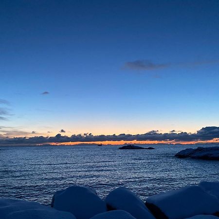 Olenilsøya Villa&Mini Villa Reine Dış mekan fotoğraf