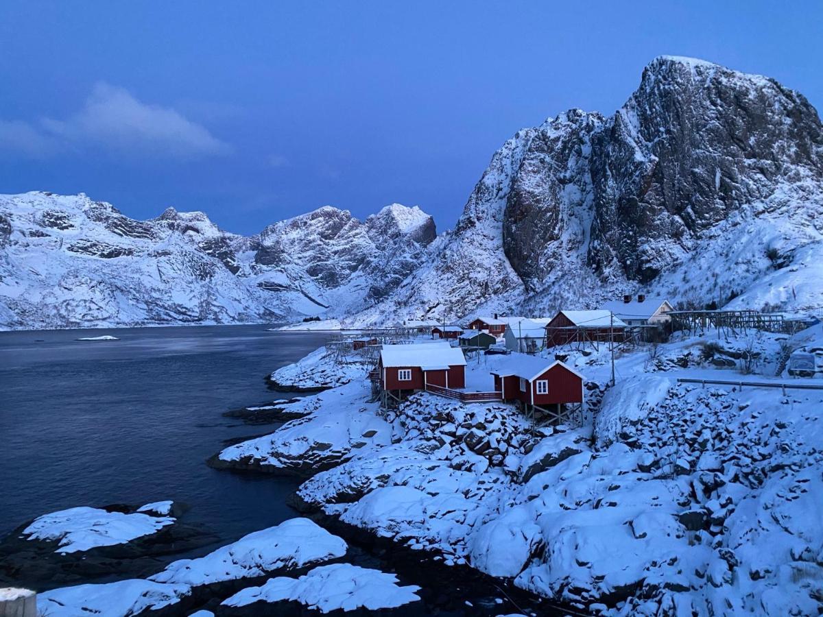 Olenilsøya Villa&Mini Villa Reine Dış mekan fotoğraf